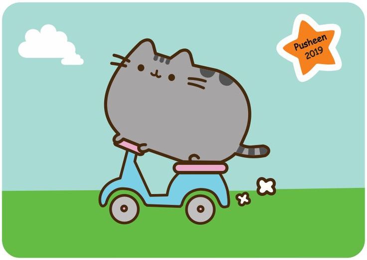 Pusheen-800x600